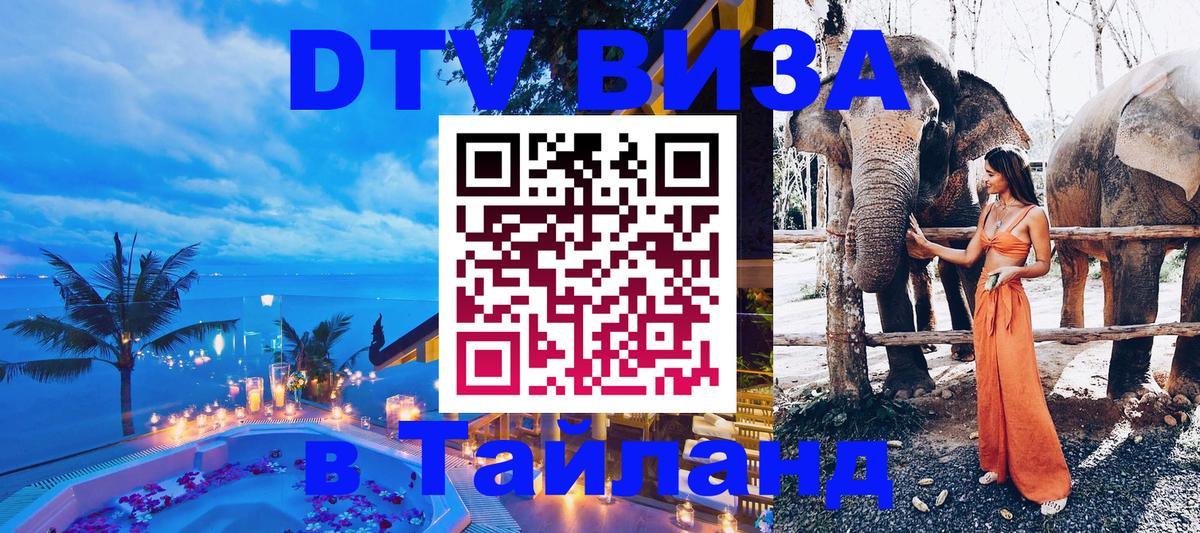 DTV Visa Тайланд купить 